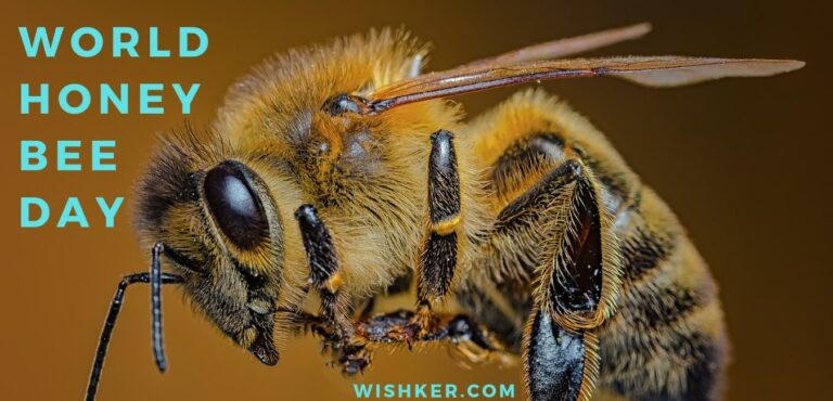 World Honey Bee Day 768x370 