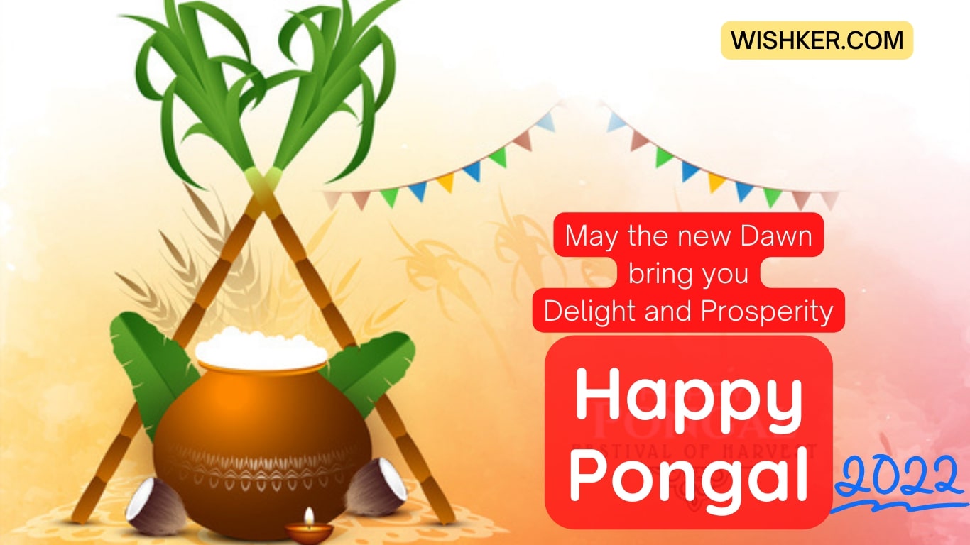 Pongal 2023 | Happy Pongal Wishes Quotes Images - Wishker