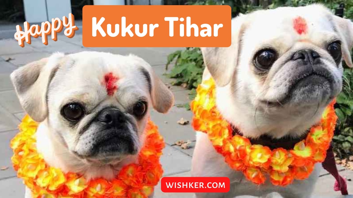 Kukur Tihar 2080 Festival of Dogs in Nepal